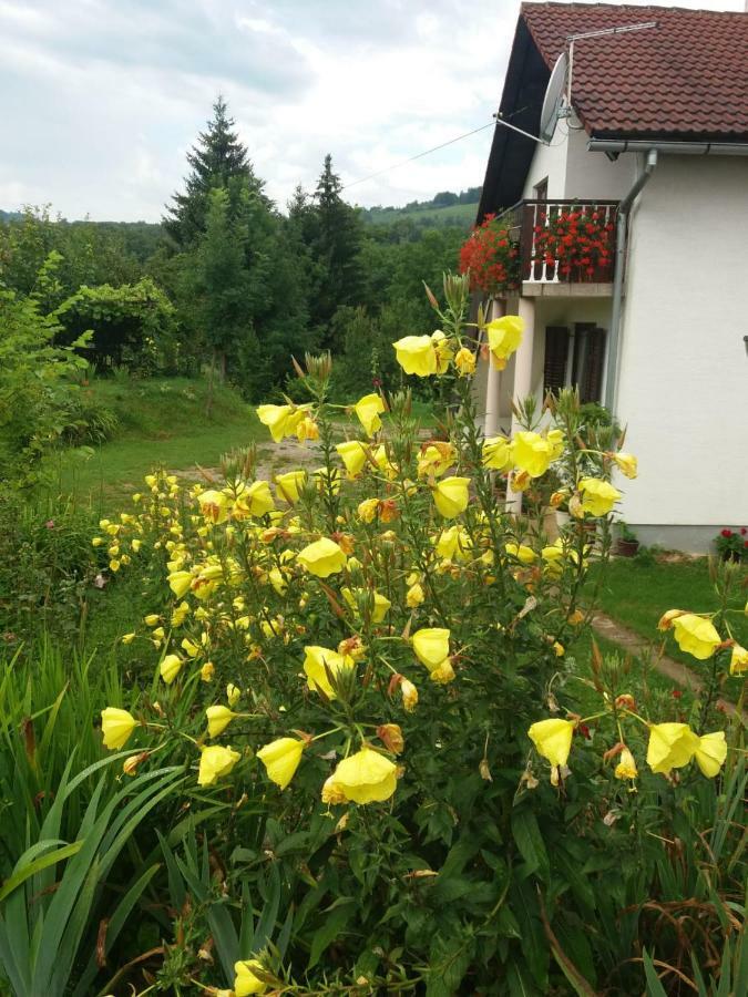 Apartment Manda Rakovica Eksteriør billede